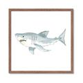 Picture of Great White _GroupedProduct_Square_Mini_ _GroupedProduct_Square_Framed_Matted_