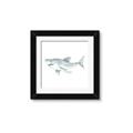 Picture of Great White _GroupedProduct_Square_Mini_ _GroupedProduct_Square_Framed_Matted_