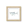 Picture of Great White _GroupedProduct_Square_Mini_ _GroupedProduct_Square_Framed_Matted_