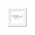 Picture of Great White _GroupedProduct_Square_Mini_ _GroupedProduct_Square_Framed_Matted_