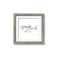 Picture of Great White _GroupedProduct_Square_Mini_ _GroupedProduct_Square_Framed_Matted_