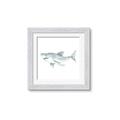 Picture of Great White _GroupedProduct_Square_Mini_ _GroupedProduct_Square_Framed_Matted_