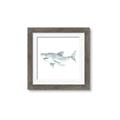 Picture of Great White _GroupedProduct_Square_Mini_ _GroupedProduct_Square_Framed_Matted_