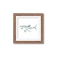 Picture of Great White _GroupedProduct_Square_Mini_ _GroupedProduct_Square_Framed_Matted_