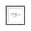 Picture of Great White _GroupedProduct_Square_Mini_ _GroupedProduct_Square_Framed_Matted_