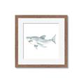 Picture of Great White _GroupedProduct_Square_Mini_ _GroupedProduct_Square_Framed_Matted_