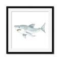 Picture of Great White _GroupedProduct_Square_Mini_ _GroupedProduct_Square_Framed_Matted_