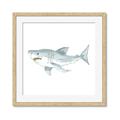 Picture of Great White _GroupedProduct_Square_Mini_ _GroupedProduct_Square_Framed_Matted_