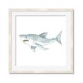 Picture of Great White _GroupedProduct_Square_Mini_ _GroupedProduct_Square_Framed_Matted_