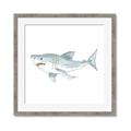 Picture of Great White _GroupedProduct_Square_Mini_ _GroupedProduct_Square_Framed_Matted_