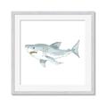 Picture of Great White _GroupedProduct_Square_Mini_ _GroupedProduct_Square_Framed_Matted_