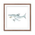 Picture of Great White _GroupedProduct_Square_Mini_ _GroupedProduct_Square_Framed_Matted_