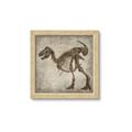 Picture of Dino Skeleton I _GroupedProduct_Square_Mini_ _GroupedProduct_Square_Framed_Matted_