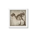 Picture of Dino Skeleton I _GroupedProduct_Square_Mini_ _GroupedProduct_Square_Framed_Matted_