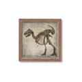 Picture of Dino Skeleton I _GroupedProduct_Square_Mini_ _GroupedProduct_Square_Framed_Matted_