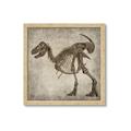 Picture of Dino Skeleton I _GroupedProduct_Square_Mini_ _GroupedProduct_Square_Framed_Matted_
