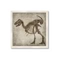 Picture of Dino Skeleton I _GroupedProduct_Square_Mini_ _GroupedProduct_Square_Framed_Matted_