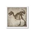 Picture of Dino Skeleton I _GroupedProduct_Square_Mini_ _GroupedProduct_Square_Framed_Matted_