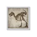Picture of Dino Skeleton I _GroupedProduct_Square_Mini_ _GroupedProduct_Square_Framed_Matted_