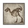 Picture of Dino Skeleton I _GroupedProduct_Square_Mini_ _GroupedProduct_Square_Framed_Matted_