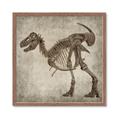 Picture of Dino Skeleton I _GroupedProduct_Square_Mini_ _GroupedProduct_Square_Framed_Matted_