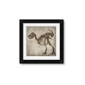 Picture of Dino Skeleton I _GroupedProduct_Square_Mini_ _GroupedProduct_Square_Framed_Matted_