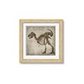 Picture of Dino Skeleton I _GroupedProduct_Square_Mini_ _GroupedProduct_Square_Framed_Matted_