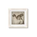Picture of Dino Skeleton I _GroupedProduct_Square_Mini_ _GroupedProduct_Square_Framed_Matted_
