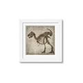 Picture of Dino Skeleton I _GroupedProduct_Square_Mini_ _GroupedProduct_Square_Framed_Matted_
