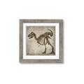 Picture of Dino Skeleton I _GroupedProduct_Square_Mini_ _GroupedProduct_Square_Framed_Matted_