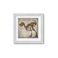 Picture of Dino Skeleton I _GroupedProduct_Square_Mini_ _GroupedProduct_Square_Framed_Matted_