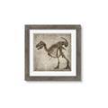 Picture of Dino Skeleton I _GroupedProduct_Square_Mini_ _GroupedProduct_Square_Framed_Matted_