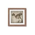 Picture of Dino Skeleton I _GroupedProduct_Square_Mini_ _GroupedProduct_Square_Framed_Matted_
