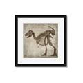 Picture of Dino Skeleton I _GroupedProduct_Square_Mini_ _GroupedProduct_Square_Framed_Matted_