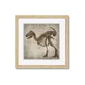 Picture of Dino Skeleton I _GroupedProduct_Square_Mini_ _GroupedProduct_Square_Framed_Matted_