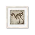 Picture of Dino Skeleton I _GroupedProduct_Square_Mini_ _GroupedProduct_Square_Framed_Matted_
