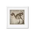 Picture of Dino Skeleton I _GroupedProduct_Square_Mini_ _GroupedProduct_Square_Framed_Matted_
