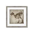 Picture of Dino Skeleton I _GroupedProduct_Square_Mini_ _GroupedProduct_Square_Framed_Matted_