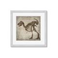 Picture of Dino Skeleton I _GroupedProduct_Square_Mini_ _GroupedProduct_Square_Framed_Matted_
