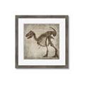 Picture of Dino Skeleton I _GroupedProduct_Square_Mini_ _GroupedProduct_Square_Framed_Matted_