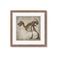 Picture of Dino Skeleton I _GroupedProduct_Square_Mini_ _GroupedProduct_Square_Framed_Matted_