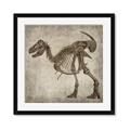 Picture of Dino Skeleton I _GroupedProduct_Square_Mini_ _GroupedProduct_Square_Framed_Matted_