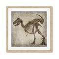 Picture of Dino Skeleton I _GroupedProduct_Square_Mini_ _GroupedProduct_Square_Framed_Matted_