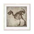 Picture of Dino Skeleton I _GroupedProduct_Square_Mini_ _GroupedProduct_Square_Framed_Matted_