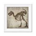 Picture of Dino Skeleton I _GroupedProduct_Square_Mini_ _GroupedProduct_Square_Framed_Matted_