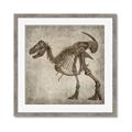 Picture of Dino Skeleton I _GroupedProduct_Square_Mini_ _GroupedProduct_Square_Framed_Matted_