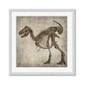 Picture of Dino Skeleton I _GroupedProduct_Square_Mini_ _GroupedProduct_Square_Framed_Matted_