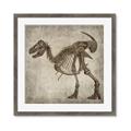 Picture of Dino Skeleton I _GroupedProduct_Square_Mini_ _GroupedProduct_Square_Framed_Matted_