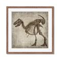 Picture of Dino Skeleton I _GroupedProduct_Square_Mini_ _GroupedProduct_Square_Framed_Matted_