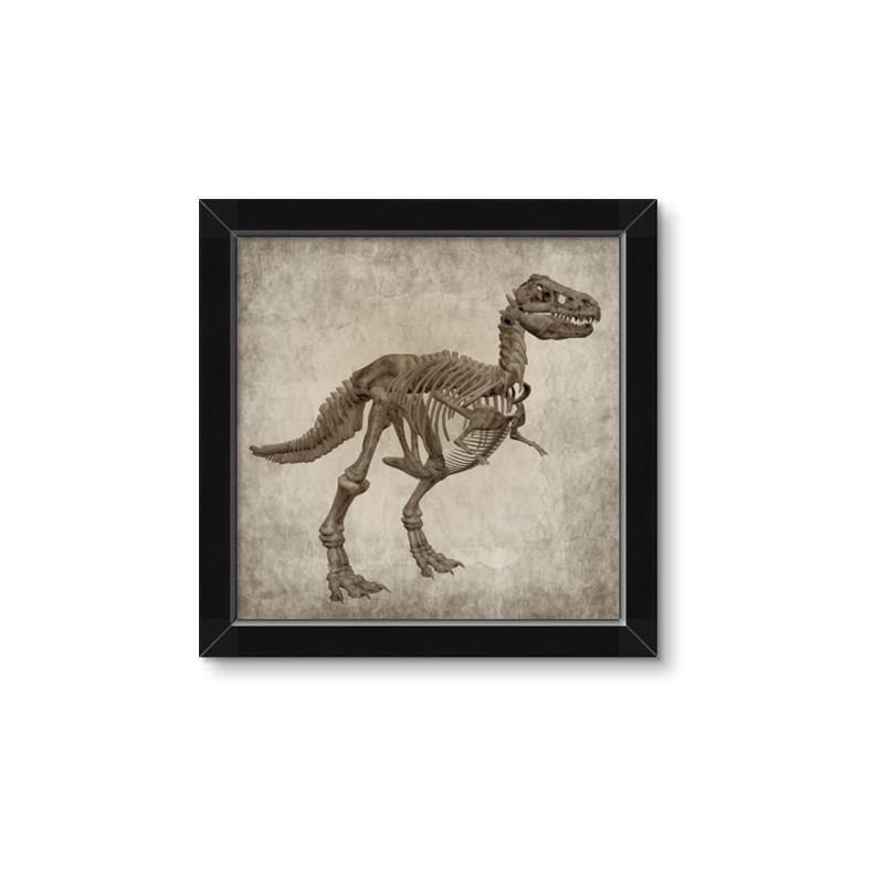 Picture of Dino Skeleton II _GroupedProduct_Square_Mini_ _GroupedProduct_Square_Framed_Matted_